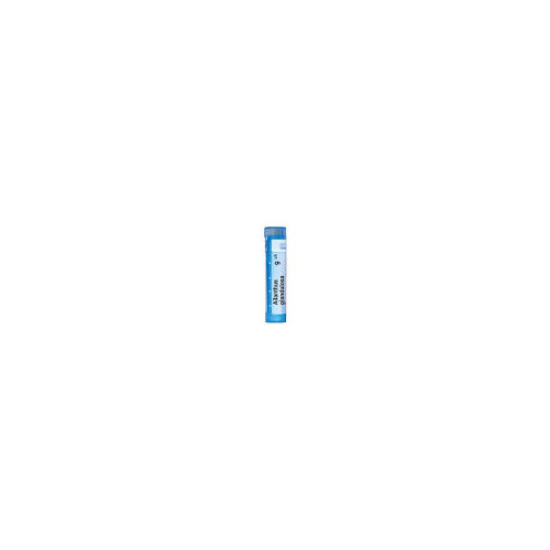 Zoomable Image